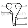 Превью - CT1077WP2 CONTITECH Водяной насос + комплект зубчатого ремня (фото 2)