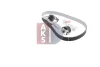 Превью - 570256N AKS DASIS Водяной насос + комплект зубчатого ремня (фото 12)