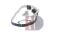 Превью - 570257N AKS DASIS Водяной насос + комплект зубчатого ремня (фото 5)