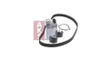 Превью - 570259N AKS DASIS Водяной насос + комплект зубчатого ремня (фото 13)