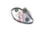 Превью - 570266N AKS DASIS Водяной насос + комплект зубчатого ремня (фото 3)
