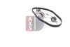 Превью - 570266N AKS DASIS Водяной насос + комплект зубчатого ремня (фото 11)