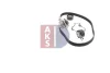 Превью - 570266N AKS DASIS Водяной насос + комплект зубчатого ремня (фото 12)