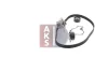 Превью - 570266N AKS DASIS Водяной насос + комплект зубчатого ремня (фото 13)