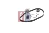 Превью - 570266N AKS DASIS Водяной насос + комплект зубчатого ремня (фото 14)