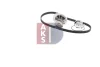 Превью - 570275N AKS DASIS Водяной насос + комплект зубчатого ремня (фото 10)