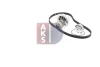 Превью - 570275N AKS DASIS Водяной насос + комплект зубчатого ремня (фото 11)