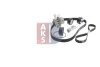 Превью - 570298N AKS DASIS Водяной насос + комплект зубчатого ремня (фото 14)