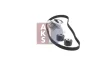 Превью - 570314N AKS DASIS Водяной насос + комплект зубчатого ремня (фото 12)