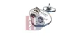 Превью - 570331N AKS DASIS Водяной насос + комплект зубчатого ремня (фото 12)