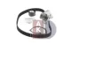 Превью - 570359N AKS DASIS Водяной насос + комплект зубчатого ремня (фото 4)