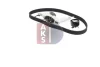 Превью - 570359N AKS DASIS Водяной насос + комплект зубчатого ремня (фото 10)