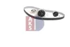 Превью - 570361N AKS DASIS Водяной насос + комплект зубчатого ремня (фото 9)