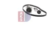 Превью - 570364N AKS DASIS Водяной насос + комплект зубчатого ремня (фото 10)