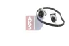 Превью - 570364N AKS DASIS Водяной насос + комплект зубчатого ремня (фото 11)