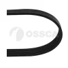 25903 OSSCA Поликлиновой ремень