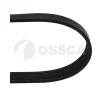 04808 OSSCA Клиновой ремень