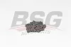 BSG 60-109-008 BSG Цепь привода распредвала