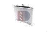 Превью - 070151N AKS DASIS Радиатор, охлаждение двигателя (фото 10)
