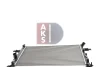Превью - 151670N AKS DASIS Радиатор, охлаждение двигателя (фото 16)