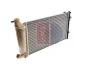 Превью - 160025N AKS DASIS Радиатор, охлаждение двигателя (фото 6)