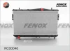RC00046 FENOX Радиатор, охлаждение двигателя