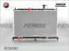 RC00063 FENOX Радиатор, охлаждение двигателя