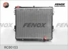 RC00153 FENOX Радиатор, охлаждение двигателя