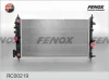 RC00219 FENOX Радиатор, охлаждение двигателя