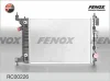 RC00226 FENOX Радиатор, охлаждение двигателя