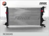 RC00245 FENOX Радиатор, охлаждение двигателя