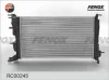 Превью - RC00245 FENOX Радиатор, охлаждение двигателя (фото 2)