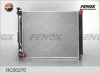 RC00270 FENOX Радиатор, охлаждение двигателя