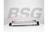 BSG 65-520-039 BSG Радиатор, охлаждение двигателя
