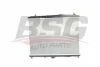 BSG 70-520-018 BSG Радиатор, охлаждение двигателя