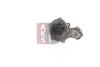Превью - 570546N AKS DASIS Водяной насос, охлаждение двигателя (фото 10)