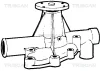 8600 11019 TRISCAN Водяной насос, охлаждение двигателя