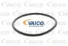 Превью - V10-50056 VAICO Водяной насос, охлаждение двигателя (фото 2)
