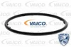 Превью - V10-50103 VAICO Водяной насос, охлаждение двигателя (фото 2)