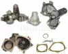 CP 427 000P KNECHT/MAHLE Водяной насос, охлаждение двигателя