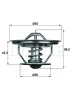 TX 35 71 KNECHT/MAHLE Термостат, охлаждающая жидкость