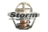 199028 Storm Термостат, охлаждающая жидкость