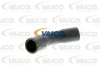 V30-2055 VAICO Шланг радиатора