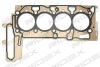 318G0250 RIDEX Прокладка, головка цилиндра