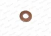 KG5157 PAYEN Уплотнительное кольцо, резьбовая пробка маслосливн. отверст.