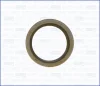 00502300 AJUSA Уплотнительное кольцо, резьбовая пробка маслосливн. отверст.