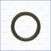 00521300 AJUSA Уплотнительное кольцо, резьбовая пробка маслосливн. отверст.