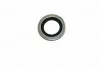 190000610 AUTOMEGA Уплотнительное кольцо, резьбовая пробка маслосливн. отверст.