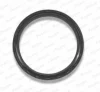 NA5298 PAYEN Уплотняющее кольцо, коленчатый вал