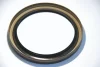 Превью - 19037166B CORTECO Уплотняющее кольцо, коленчатый вал (фото 2)